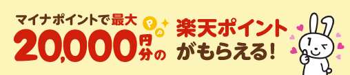マイナポイントで合計最大26.5%付与 ポイント払いも対象です