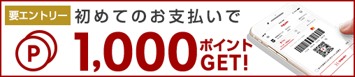 https://finance.jp.rakuten-static.com/rpay/img/campaign/508x110_20171108_SBC1000.png?v=20190318